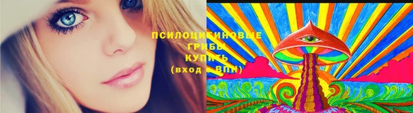 ПСИЛОЦИБИНОВЫЕ ГРИБЫ Алексин