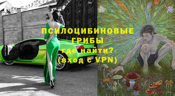 винт Алзамай