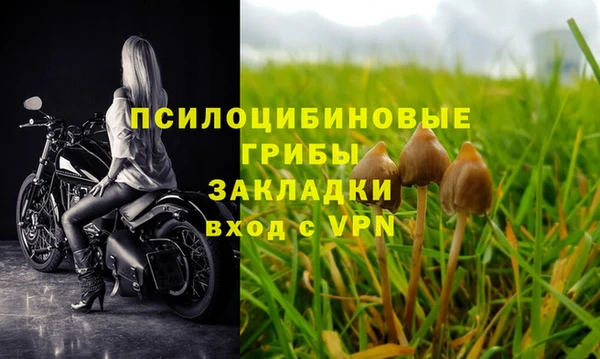 винт Алзамай