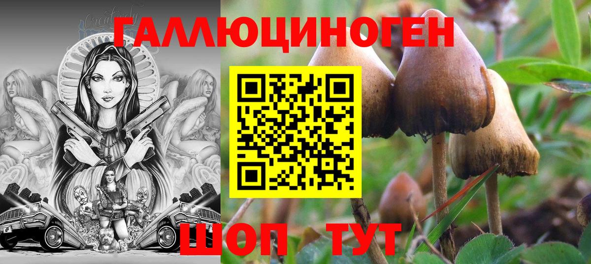 Галлюциногенные грибы мухоморы Белебей
